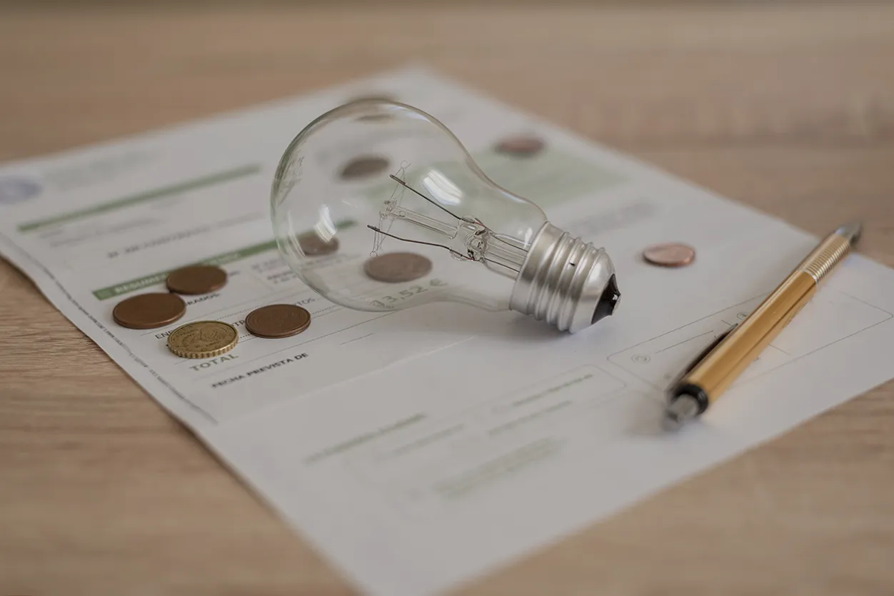 Ahorra en la factura de la luz con placas solares