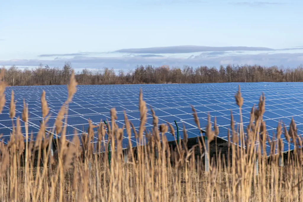 Alquiler de terrenos para placas solares rentabilidad